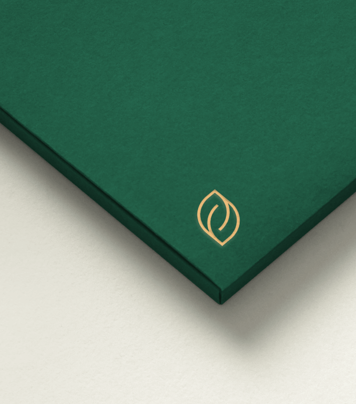 Frame 1000005425.png